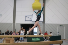 4365-Matea-Savic-SCI