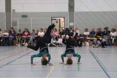 4496-Kopfstand