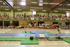 Showgruppe-TS-Schenefeld