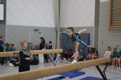Maria-Boisteanu-SCI