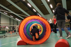 2026 - Spielefest