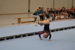 Aliya-Domekeli-TSV